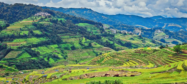 腊姑梯田。色情网址
供图